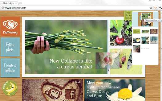 PicMonkey Chrome Extension